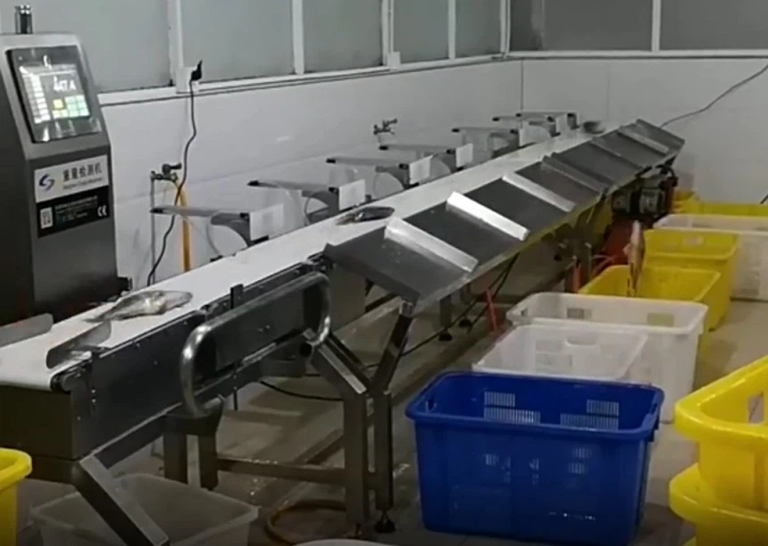 fish grading machine fish grading machine